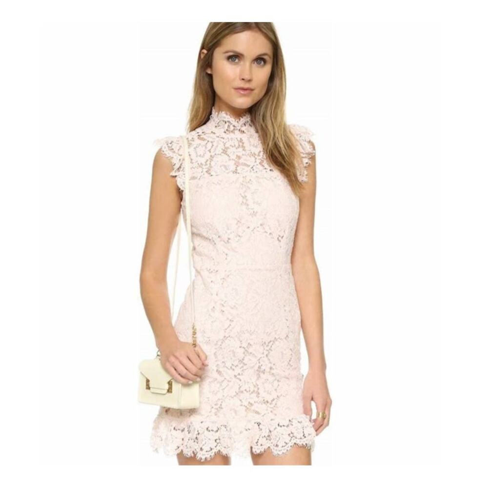 AIJEK Lace Mini Dress in Blush - Designer Danielle Woo Size 2
